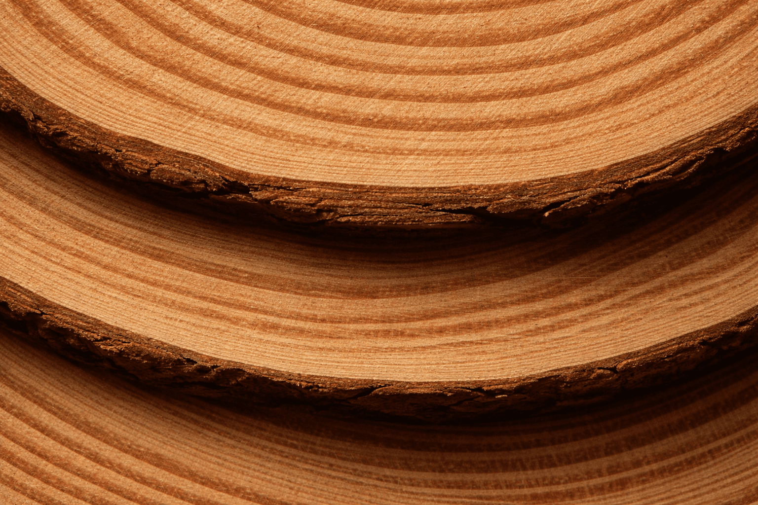 Control durante la operación